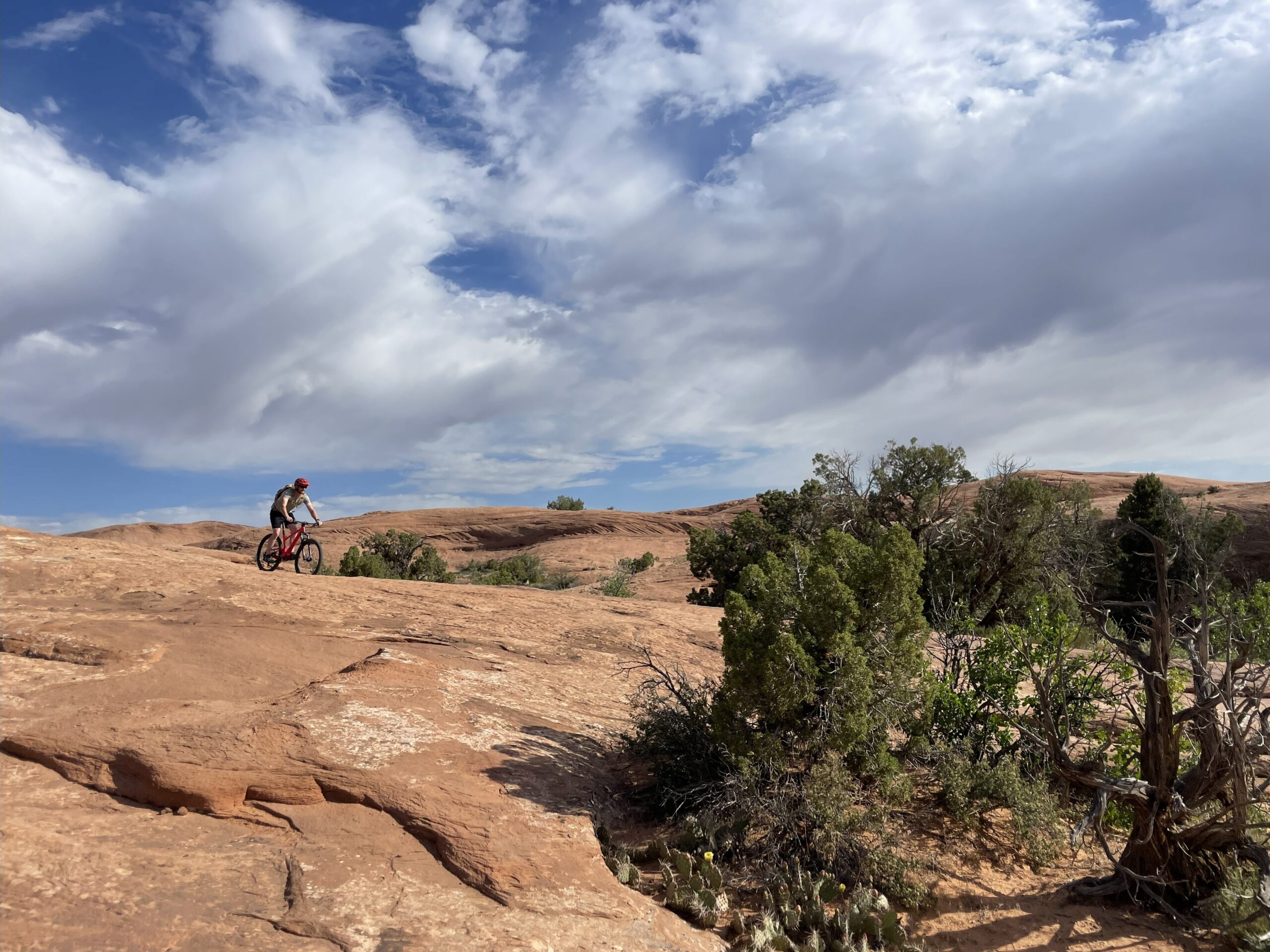 A lone rider navigating rugged desert terrain—symbolizing the personal journey of fathers forging resilience, clarity, and purpose through challenge and wild exploration.